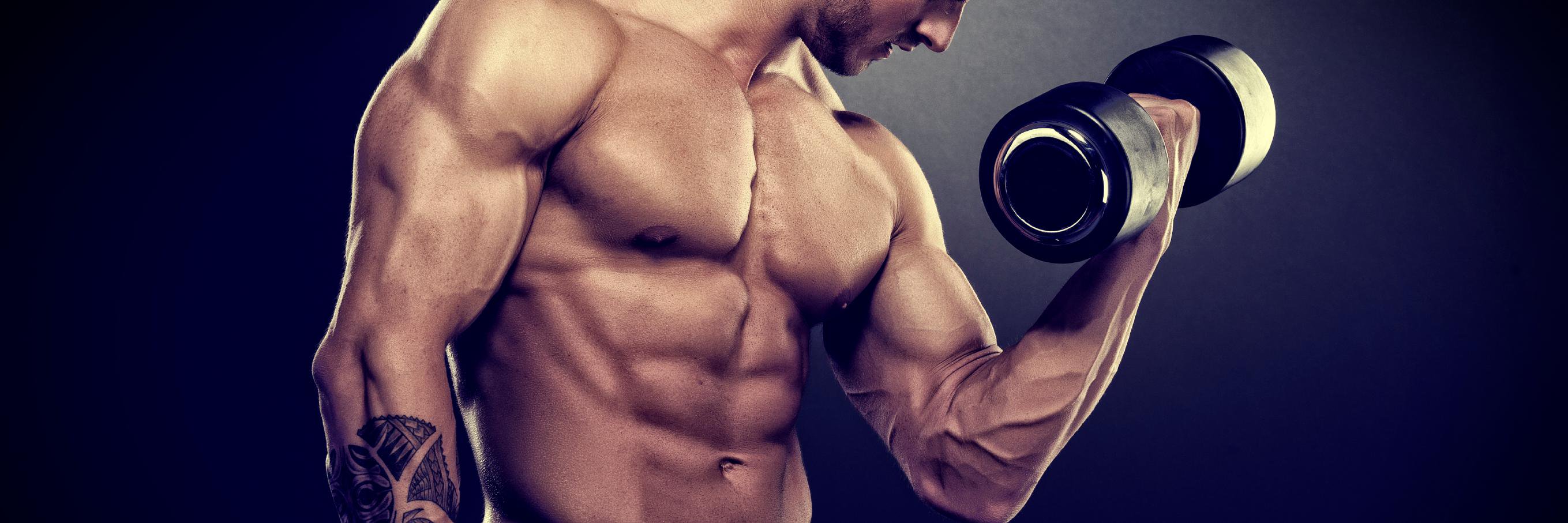 muscleboy2015's profile banner image