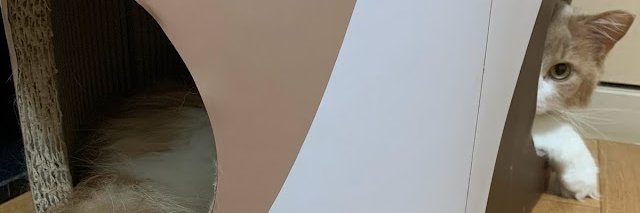 pan_komo's profile banner image