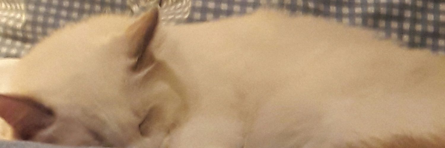 KevynGohu's profile banner image