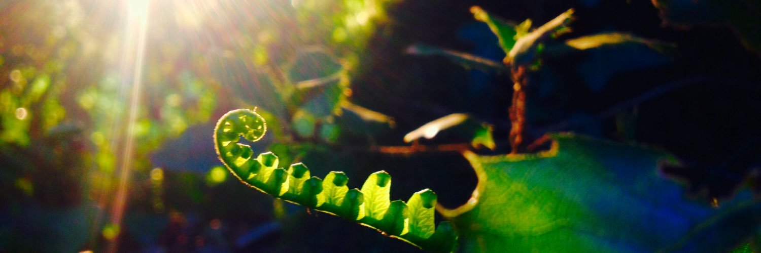 MarcGranen's profile banner image
