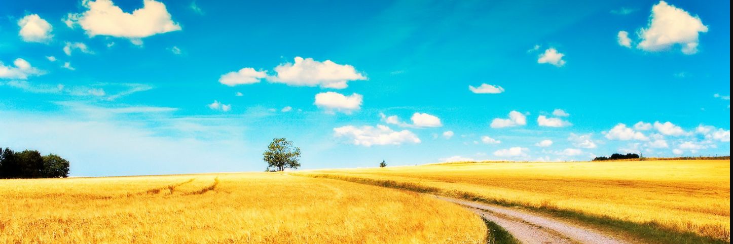 amali970's profile banner image