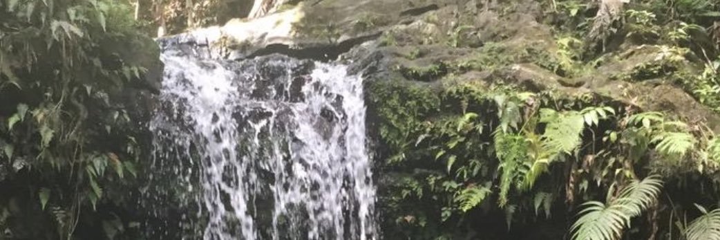 rooseeeann's profile banner image