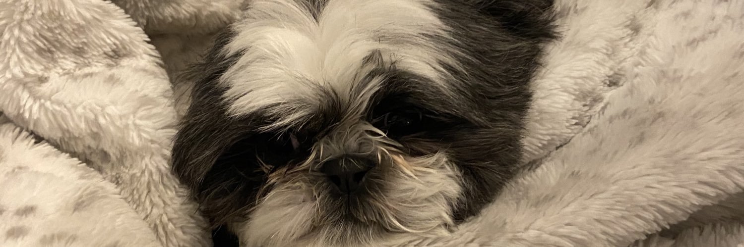 NickKukuris's profile banner image