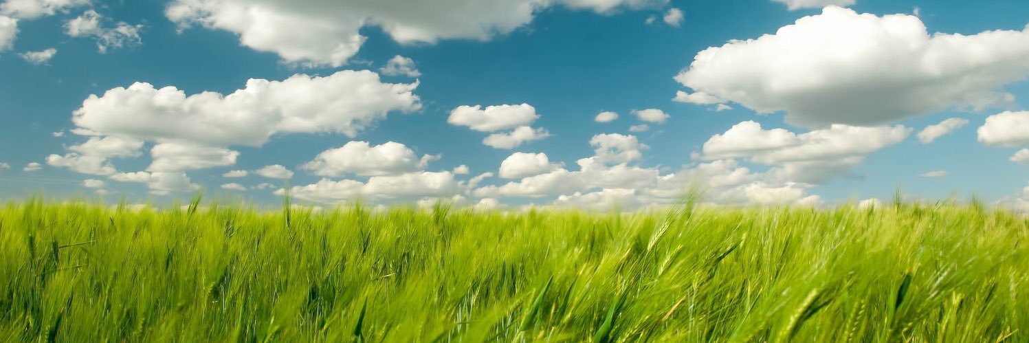 songze64's profile banner image
