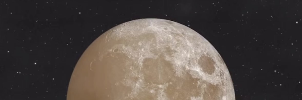 madysntusick's profile banner image