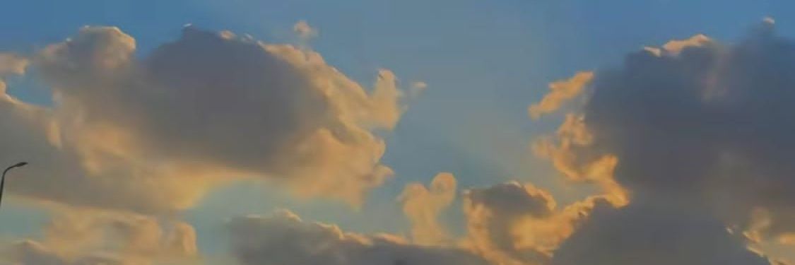 Yasmineldomity's profile banner image