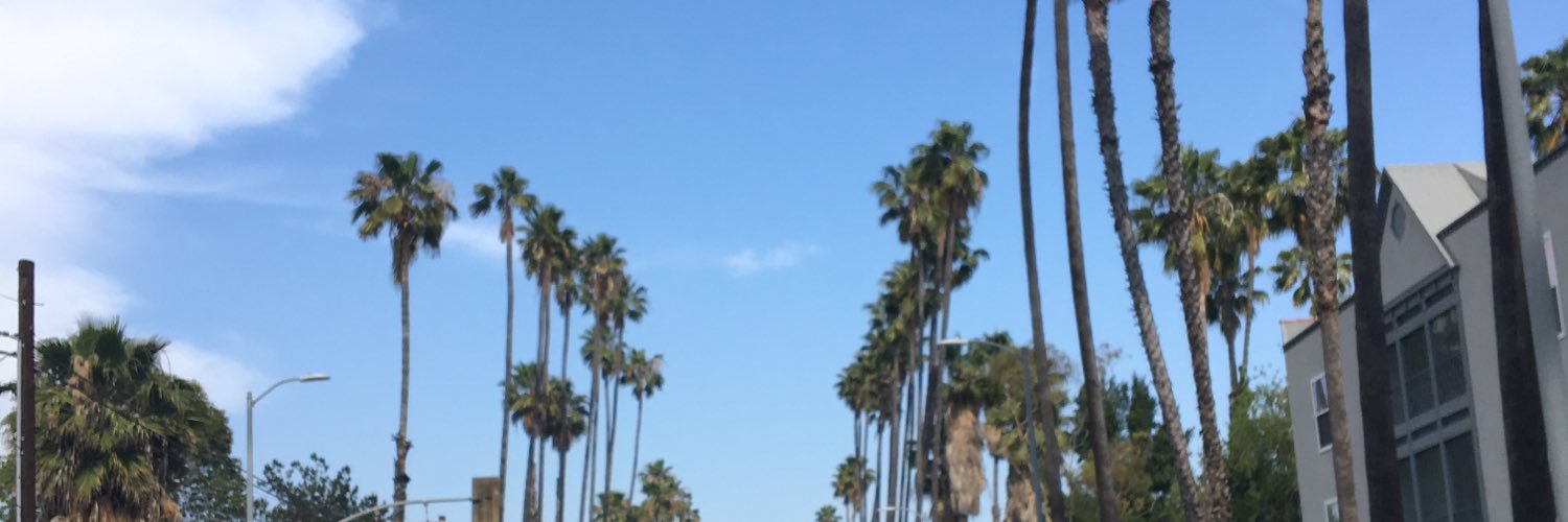 sassingrier's profile banner image