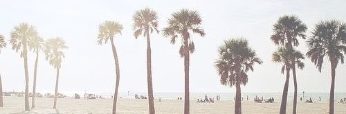 _hannahmeade's profile banner image