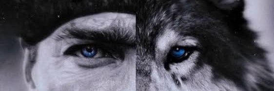 sfkrk1912's profile banner image