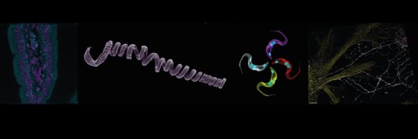 UofG_Microscopy Profile Banner