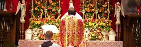 Pope Michael II banner