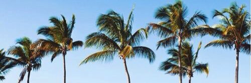 _chloeeem_'s profile banner image