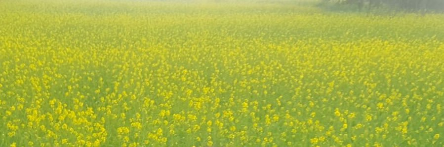 Riaz_Chaudhry's profile banner image