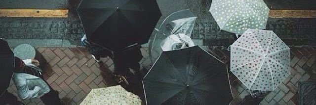 foolishgin's profile banner image