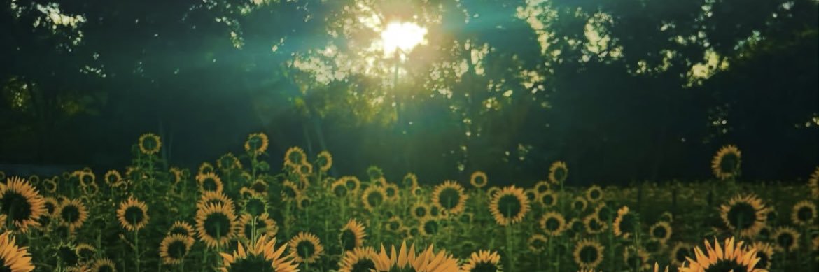 𝘙𝘢𝘤𝘩𝘯𝘢 banner