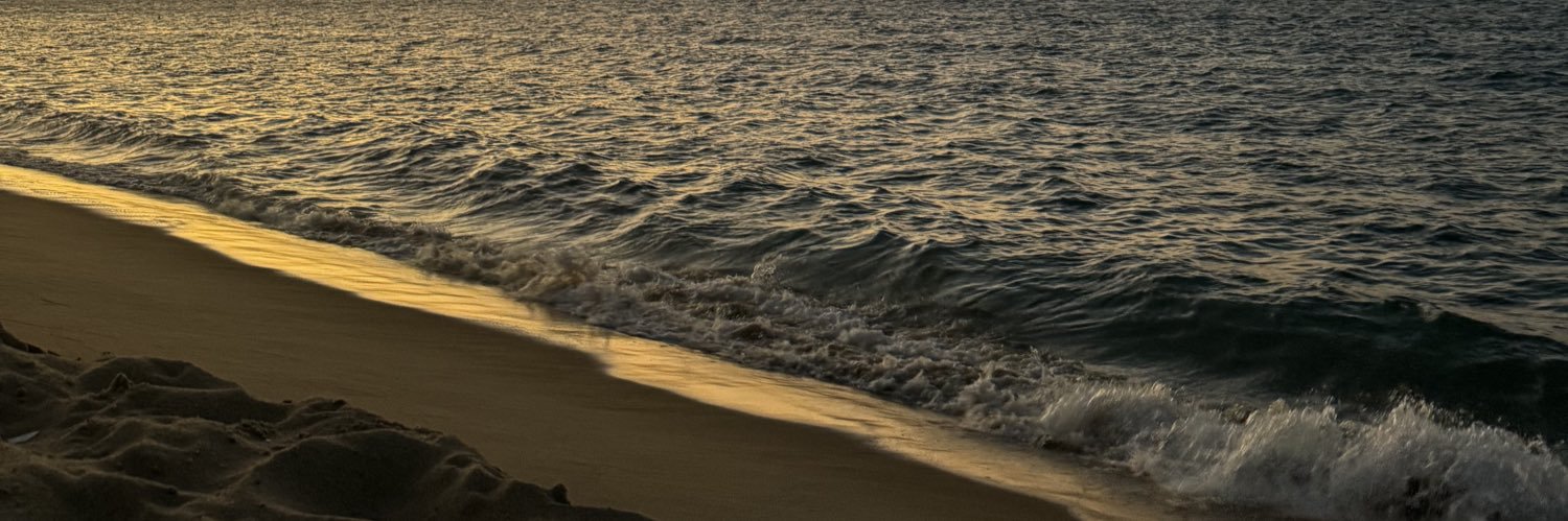 thaispontes_'s profile banner image