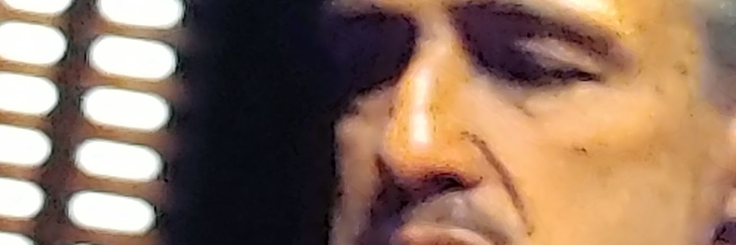 Thorir Hakonarson banner