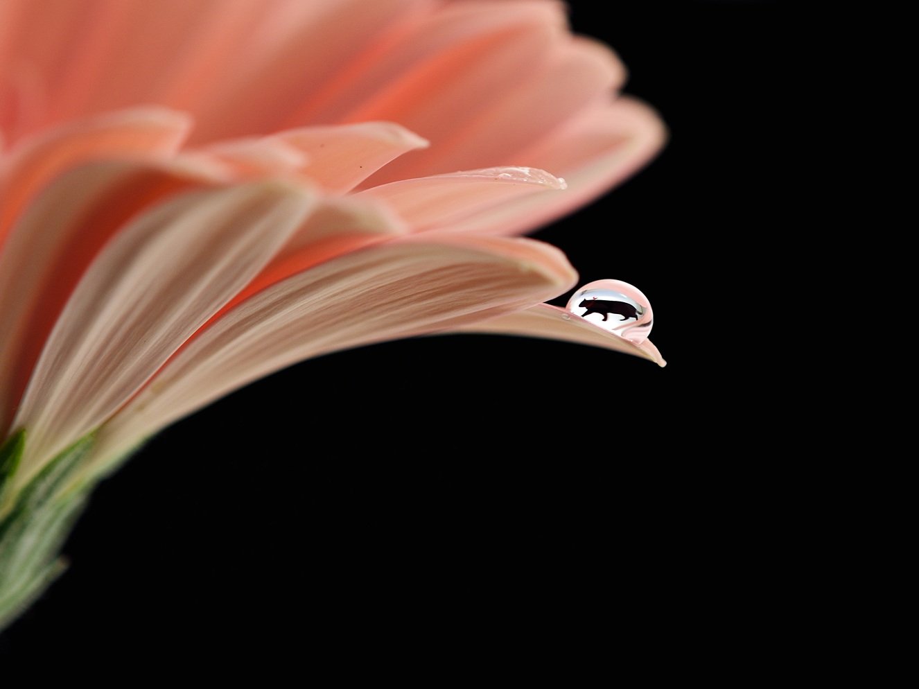 um_ars's profile banner image