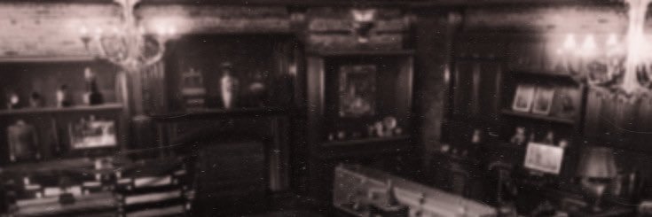Telimpuh's profile banner image
