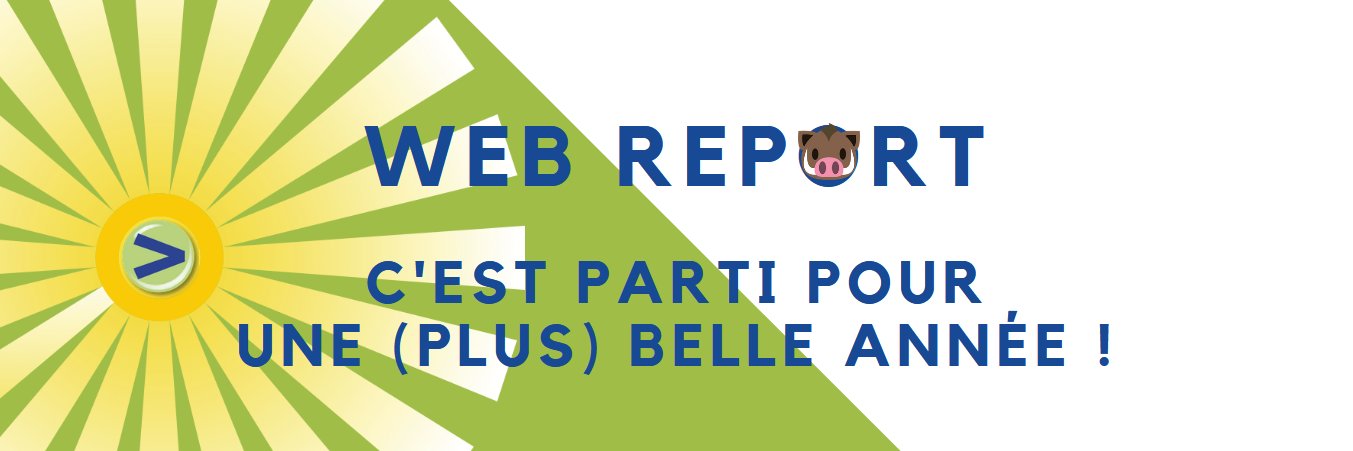 webreport corporate banner