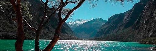 Robert Goto banner