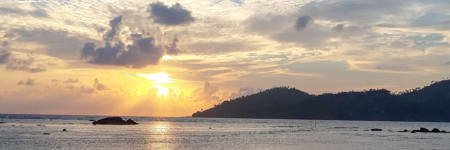 anisamarien's profile banner image