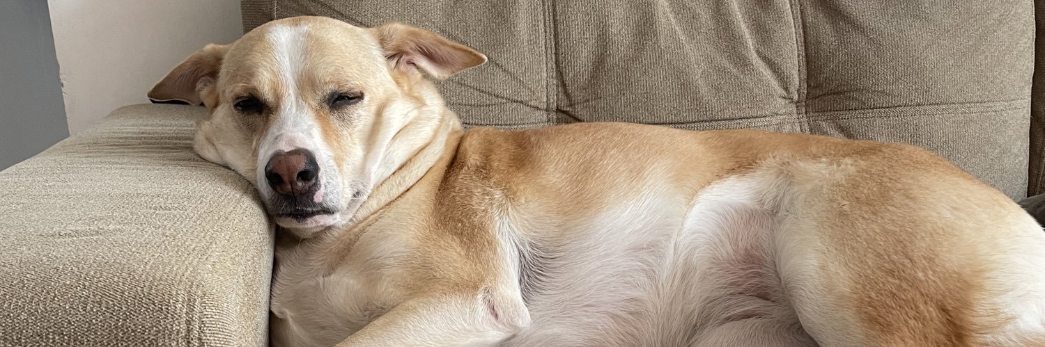 Srisha Permude banner