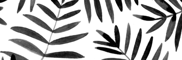cjmasserant's profile banner image