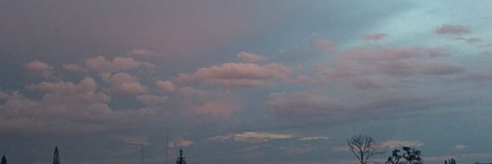 aurora_paut's profile banner image