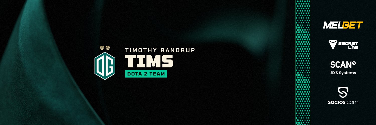 TimsDOTA's profile banner image