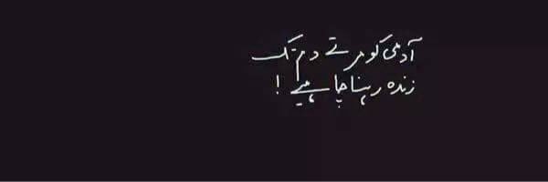 ShayariFanz's profile banner image