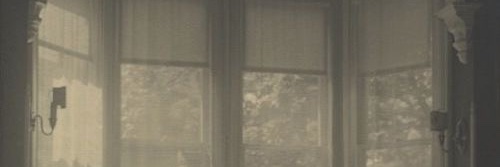 marizadarling's profile banner image