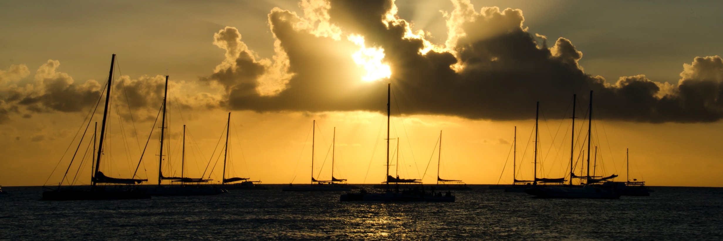 pedropramos's profile banner image