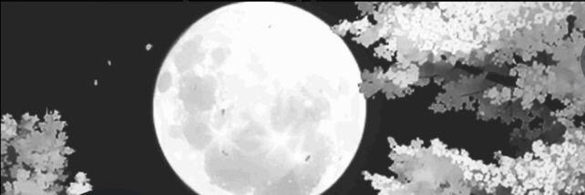 beaby_booo's profile banner image