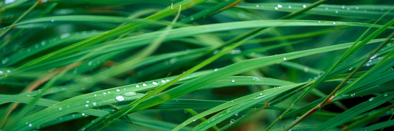 Matt_Stovall's profile banner image
