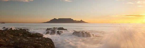 Dalene Duvenage (DSyRM) banner