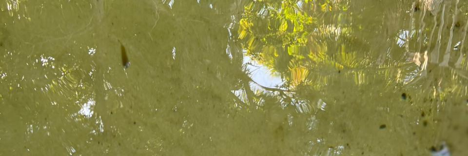 Dejanilson3's profile banner image
