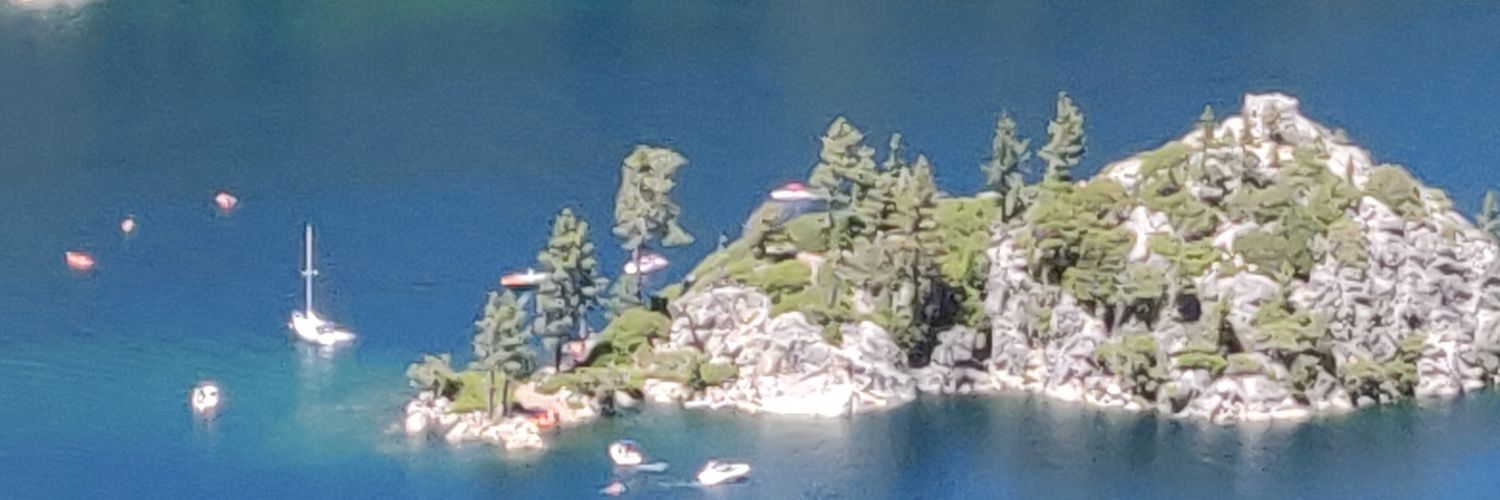 Swaminathan P banner