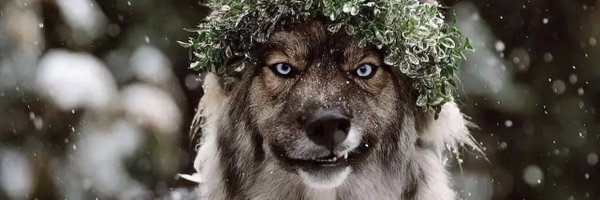 DaddyDtech Profile Banner