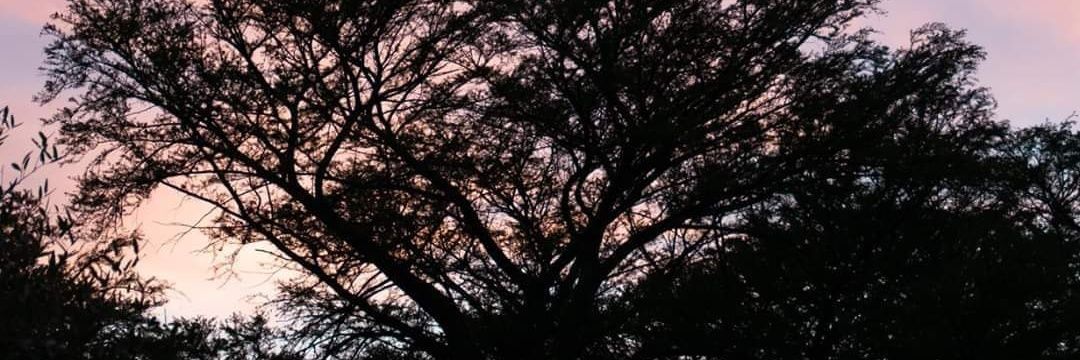 LeslieDuarteA's profile banner image