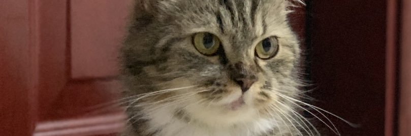 EmWhatever's profile banner image
