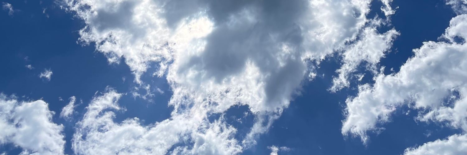roalocx's profile banner image