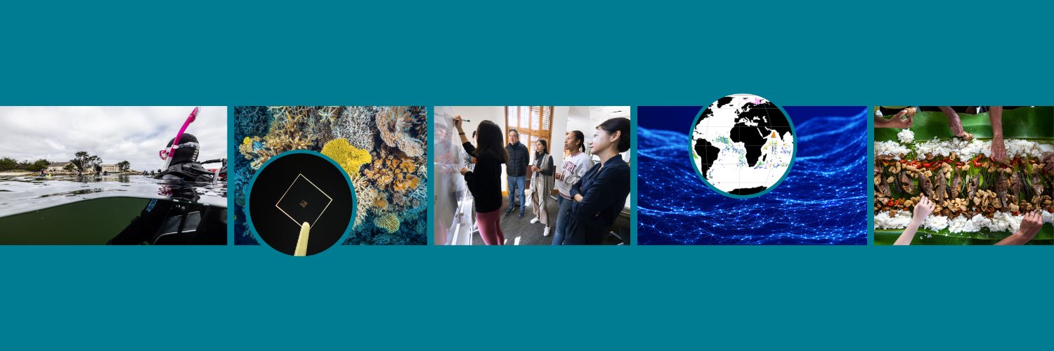 Stanford Center for Ocean Solutions banner