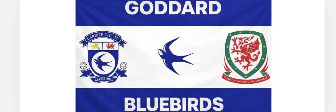 David Goddard 🏴󠁧󠁢󠁷󠁬󠁳󠁿 banner