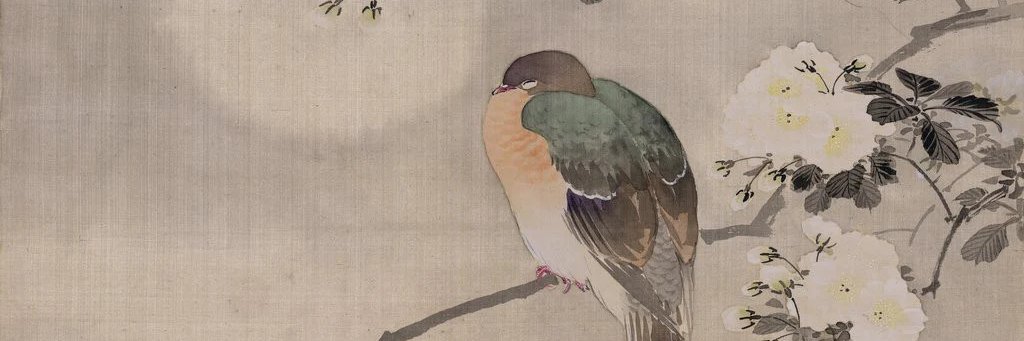 kleos556's profile banner image