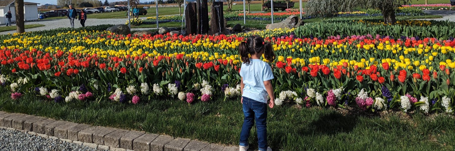 Mohini Dasari MD MS banner