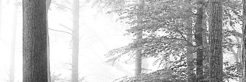sebamaclean's profile banner image