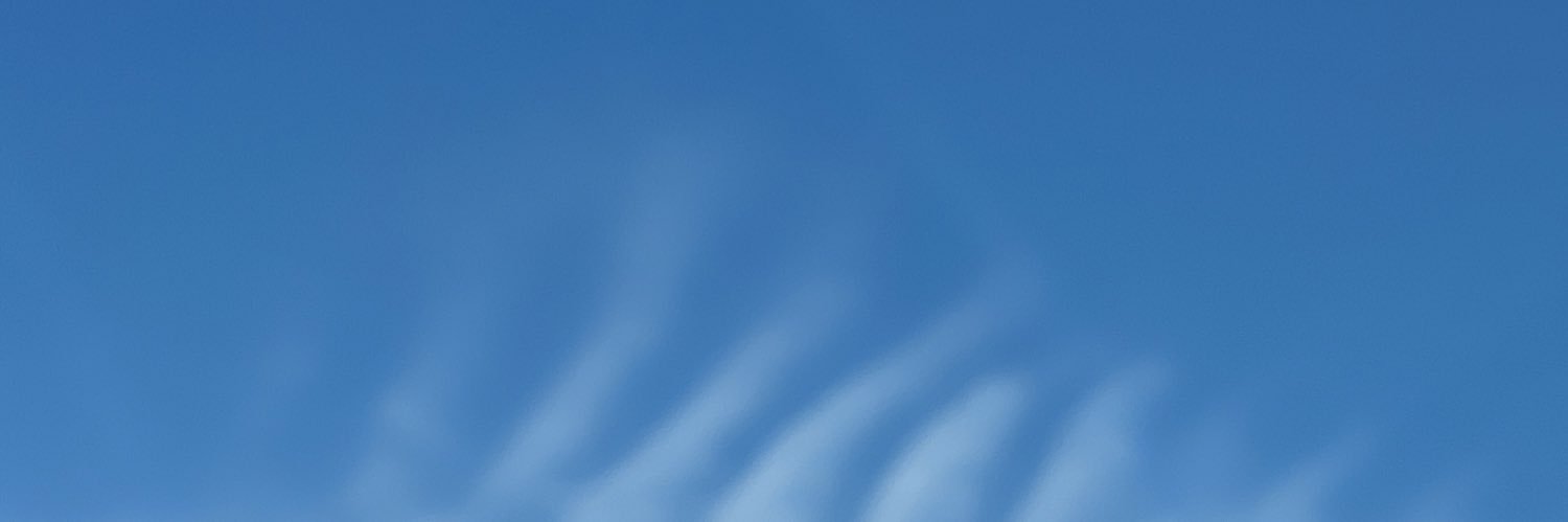 Nicabluestar's profile banner image
