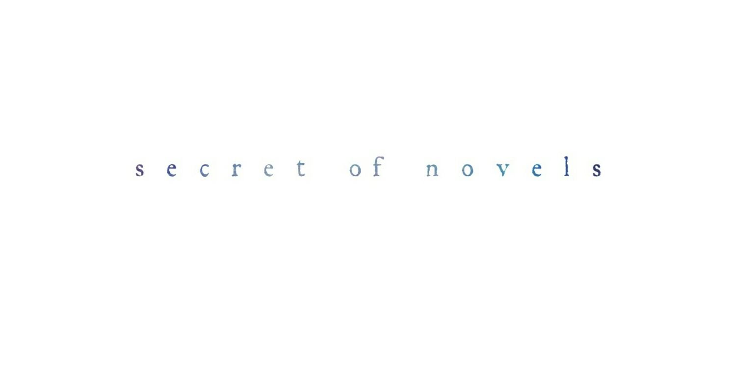 SecretOfNovels's profile banner image