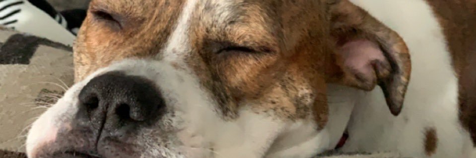 maritza711's profile banner image